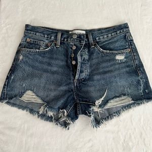 Aritzia-The Denim Forum Ex-boyfriend short
